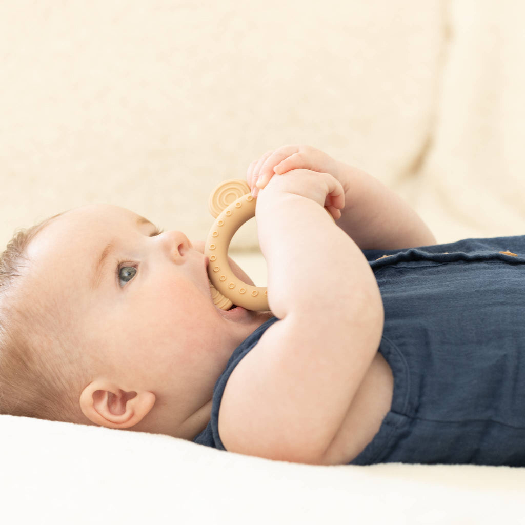Bella Tunno - Bear Rattle Buddy