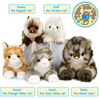 VIAHART Toy Co. - Puff the Persian Cat | 13 Inch Stuffed Animal Plush